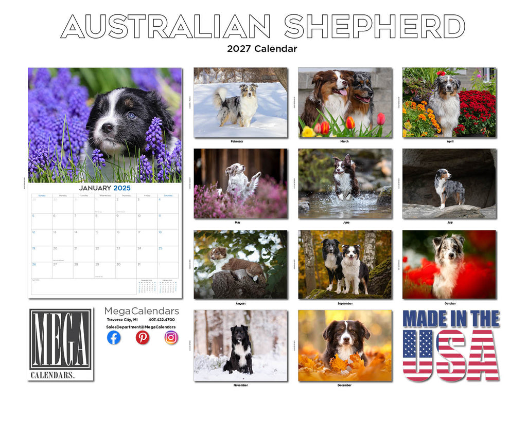 Australian Shepherd Wall Calendar 2027 - 12" x 9" 14-Month Dog Breed Calendar
