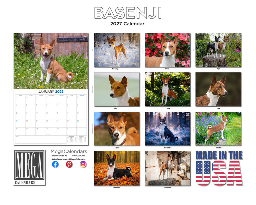 Basenji Wall Calendar 2027 - 12" x 9" 14-Month Dog Breed Calendar