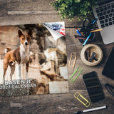 Basenji Wall Calendar 2027 - 12" x 9" 14-Month Dog Breed Calendar