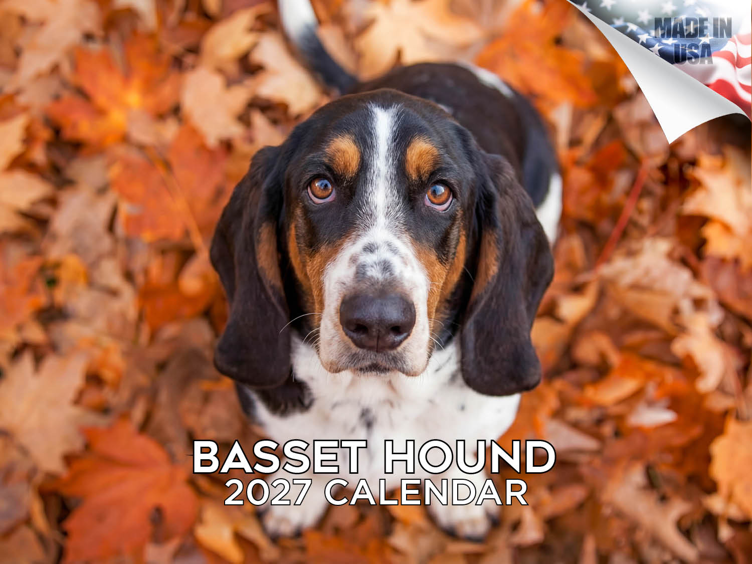 Basset Hound Wall Calendar 2027 - 12
