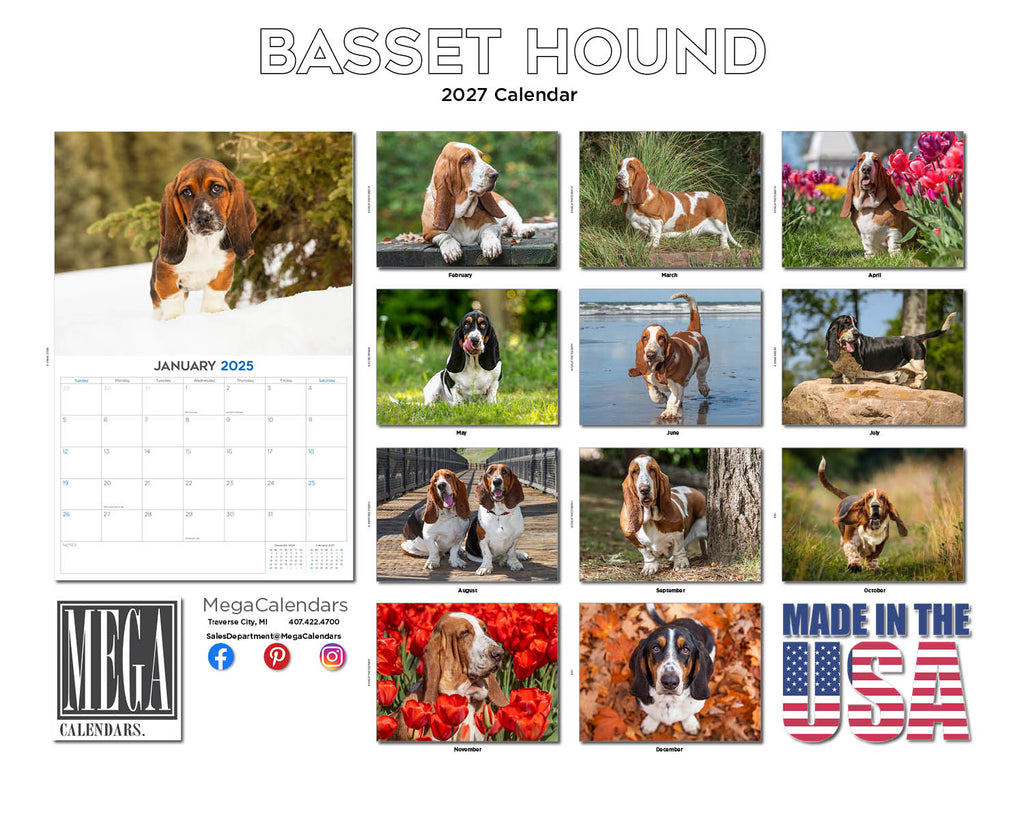 Basset Hound Wall Calendar 2027 - 12" x 9" 14-Month Dog Breed Calendar