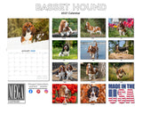Basset Hound Wall Calendar 2027 - 12" x 9" 14-Month Dog Breed Calendar
