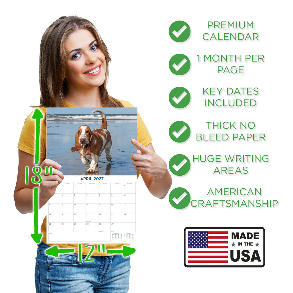 Basset Hound Wall Calendar 2027 - 12" x 9" 14-Month Dog Breed Calendar