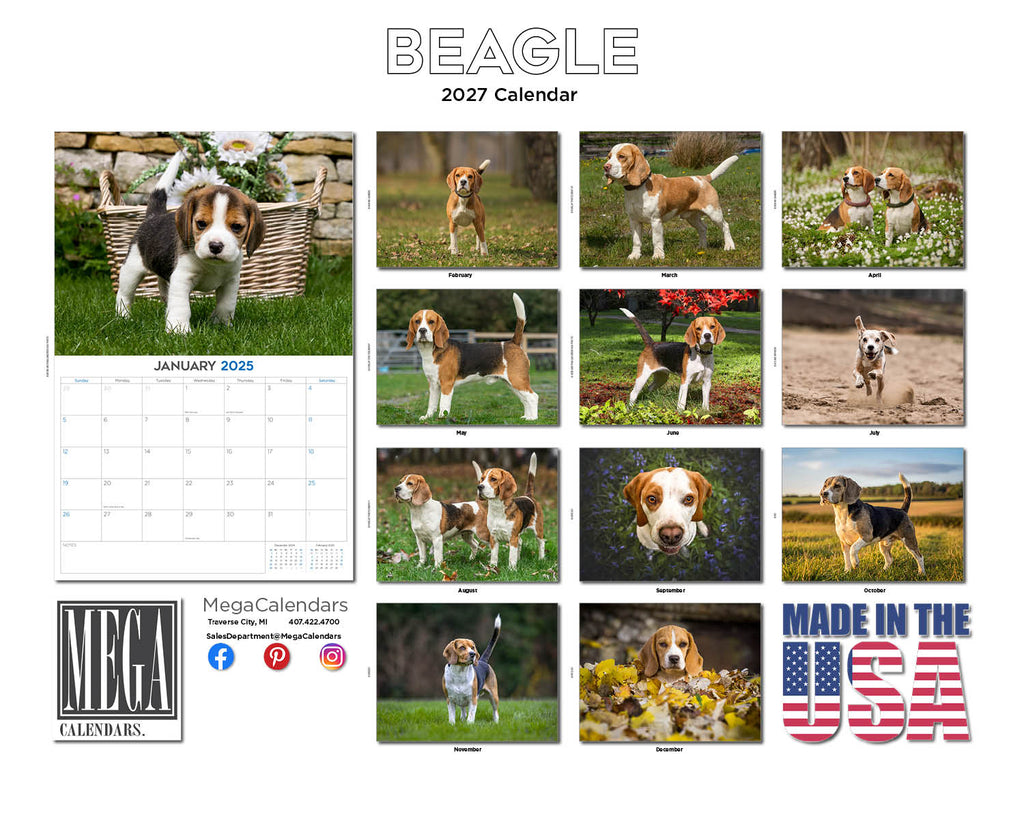 Beagle Wall Calendar 2027 - 12" x 9" 14-Month Dog Breed Calendar