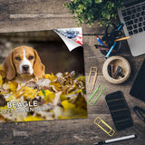 Beagle Wall Calendar 2027 - 12" x 9" 14-Month Dog Breed Calendar