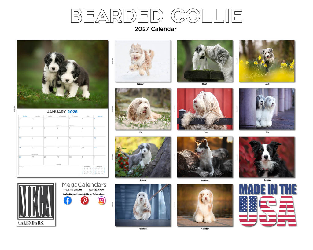 Bearded Collie Wall Calendar 2027 - 12" x 9" 14-Month Dog Breed Calendar