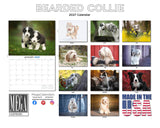Bearded Collie Wall Calendar 2027 - 12" x 9" 14-Month Dog Breed Calendar