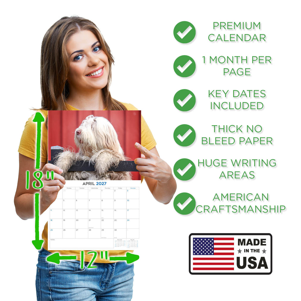Bearded Collie Wall Calendar 2027 - 12" x 9" 14-Month Dog Breed Calendar