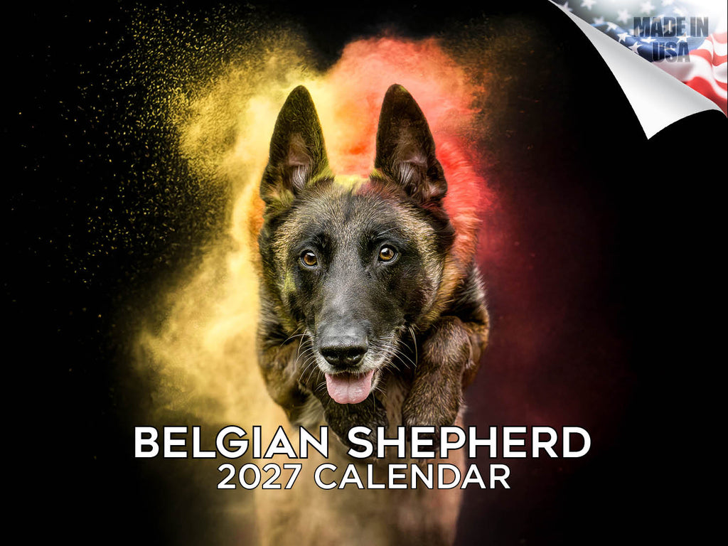 Belgian Shepherd Dog Wall Calendar 2027 - 12" x 9" 14-Month Dog Breed Calendar