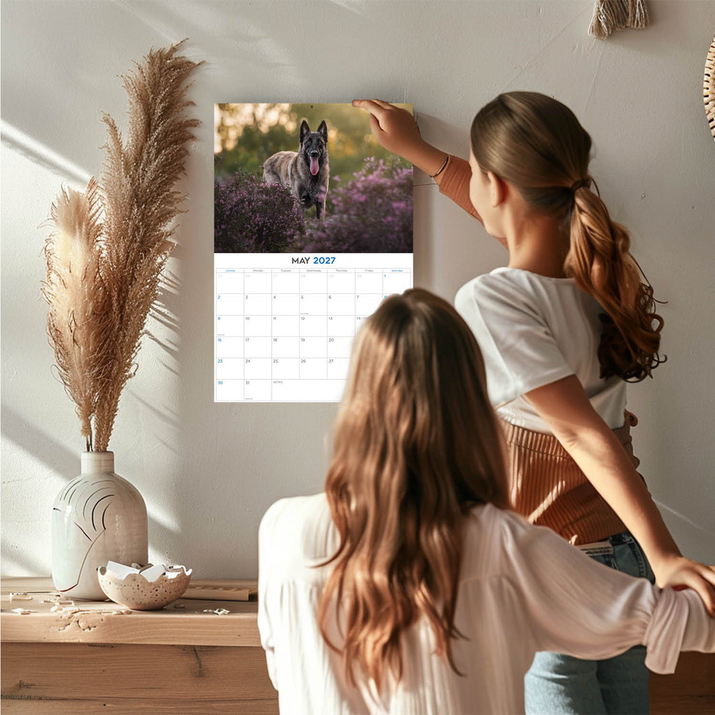 Belgian Shepherd Dog Wall Calendar 2027 - 12" x 9" 14-Month Dog Breed Calendar