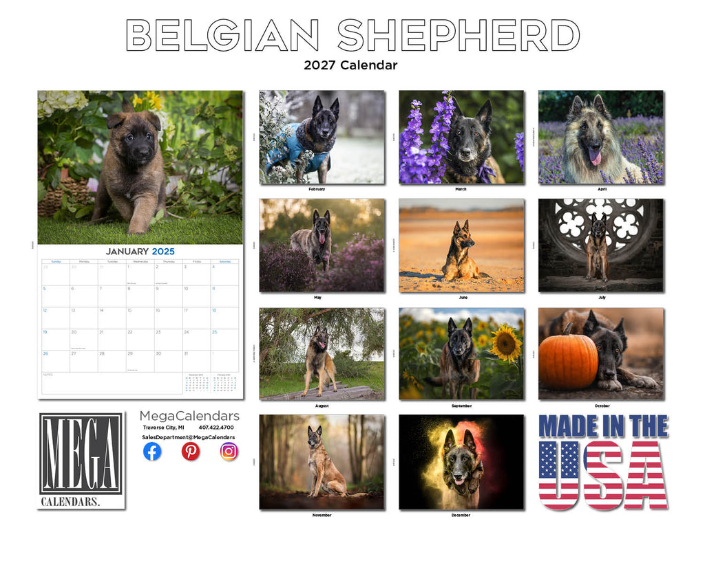 Belgian Shepherd Dog Wall Calendar 2027 - 12" x 9" 14-Month Dog Breed Calendar
