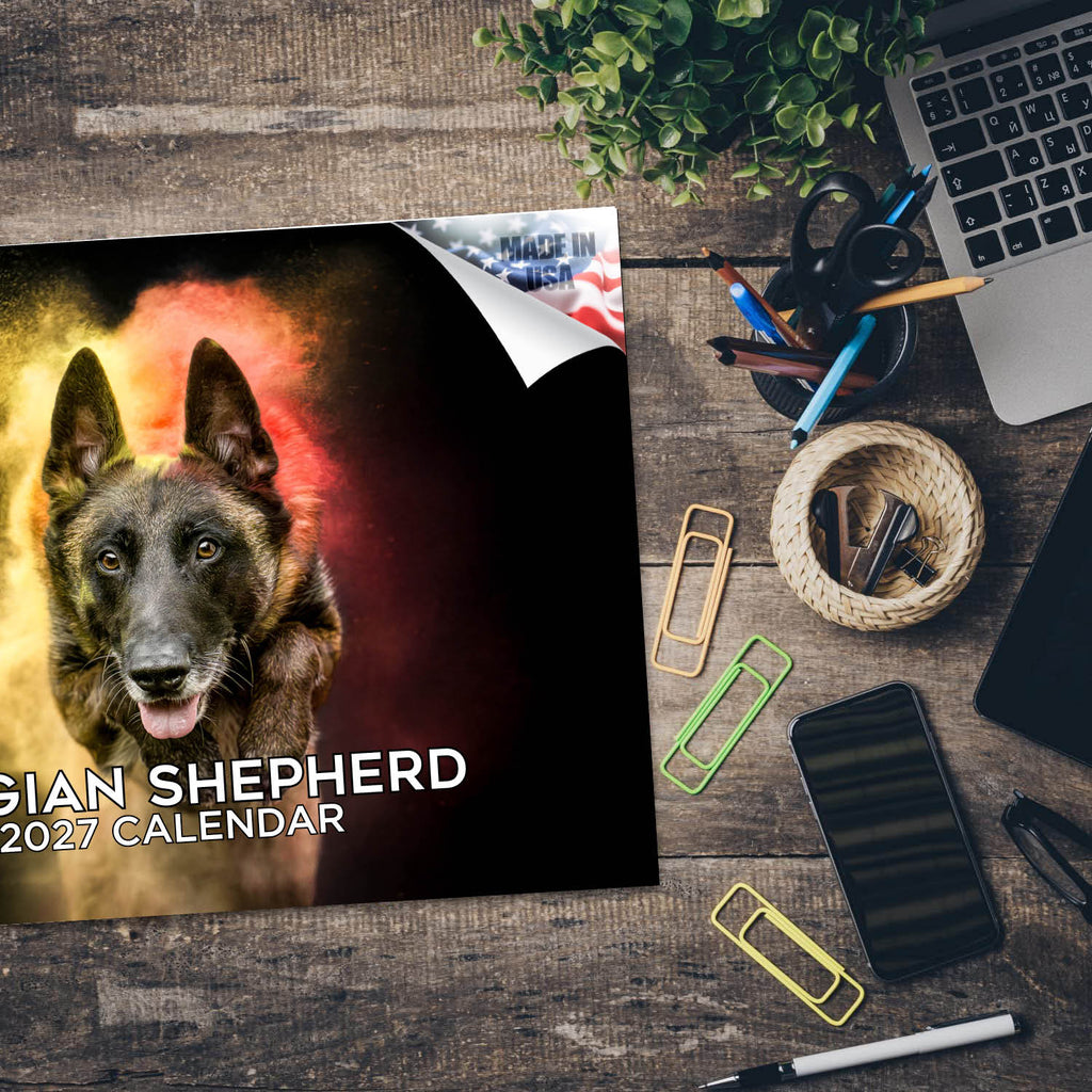 Belgian Shepherd Dog Wall Calendar 2027 - 12" x 9" 14-Month Dog Breed Calendar