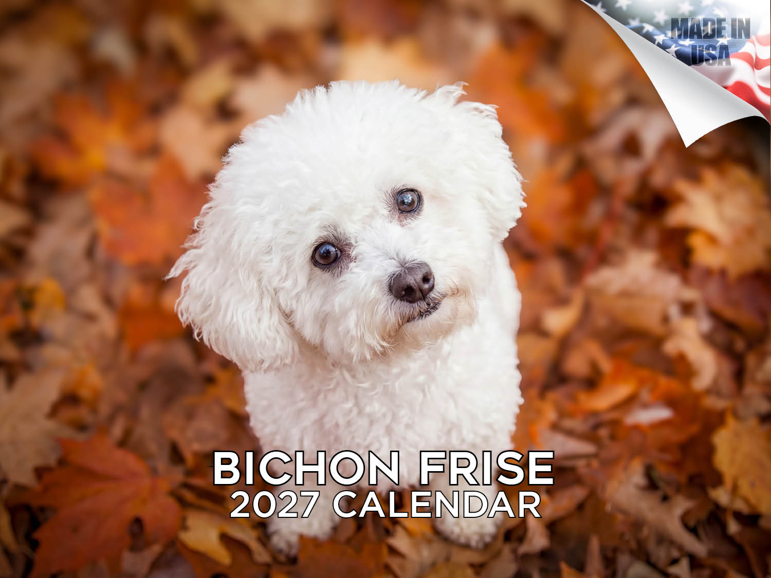 Bichon Frise Wall Calendar 2027 - 12