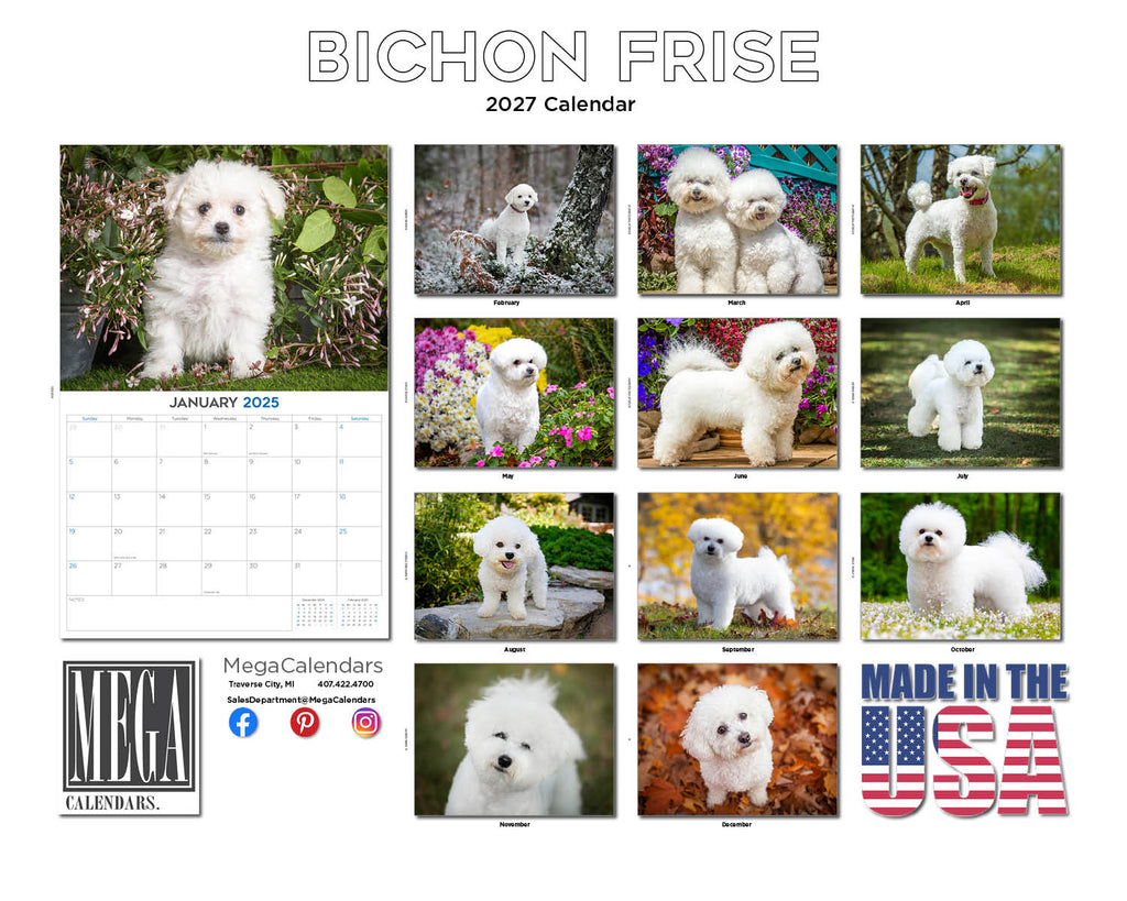 Bichon Frise Wall Calendar 2027 - 12" x 9" 14-Month Dog Breed Calendar