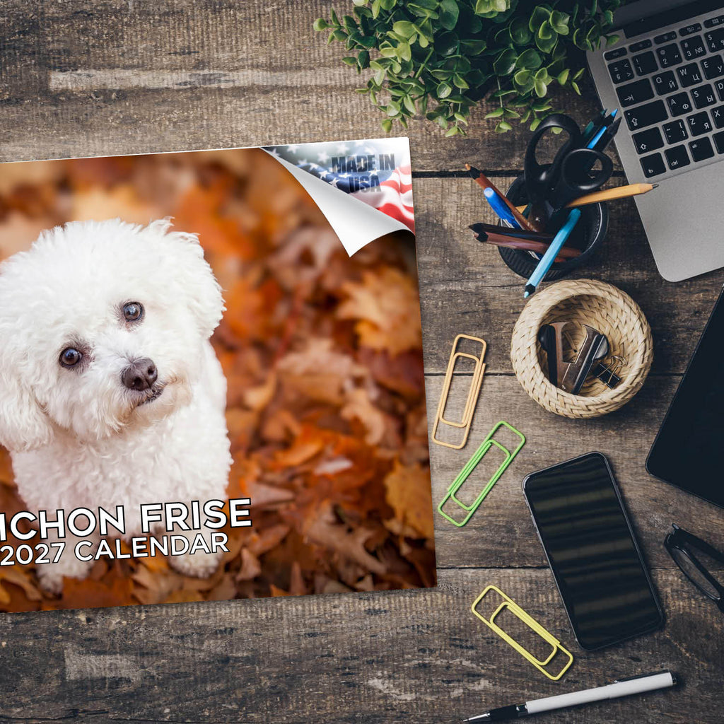 Bichon Frise Wall Calendar 2027 - 12" x 9" 14-Month Dog Breed Calendar