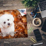 Bichon Frise Wall Calendar 2027 - 12" x 9" 14-Month Dog Breed Calendar