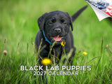 Black Labrador Puppies Wall Calendar 2027 - 12" x 9" 14-Month Dog Breed Calendar
