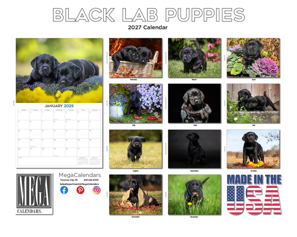 Black Labrador Puppies Wall Calendar 2027 - 12" x 9" 14-Month Dog Breed Calendar