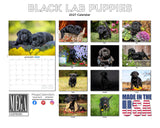 Black Labrador Puppies Wall Calendar 2027 - 12" x 9" 14-Month Dog Breed Calendar