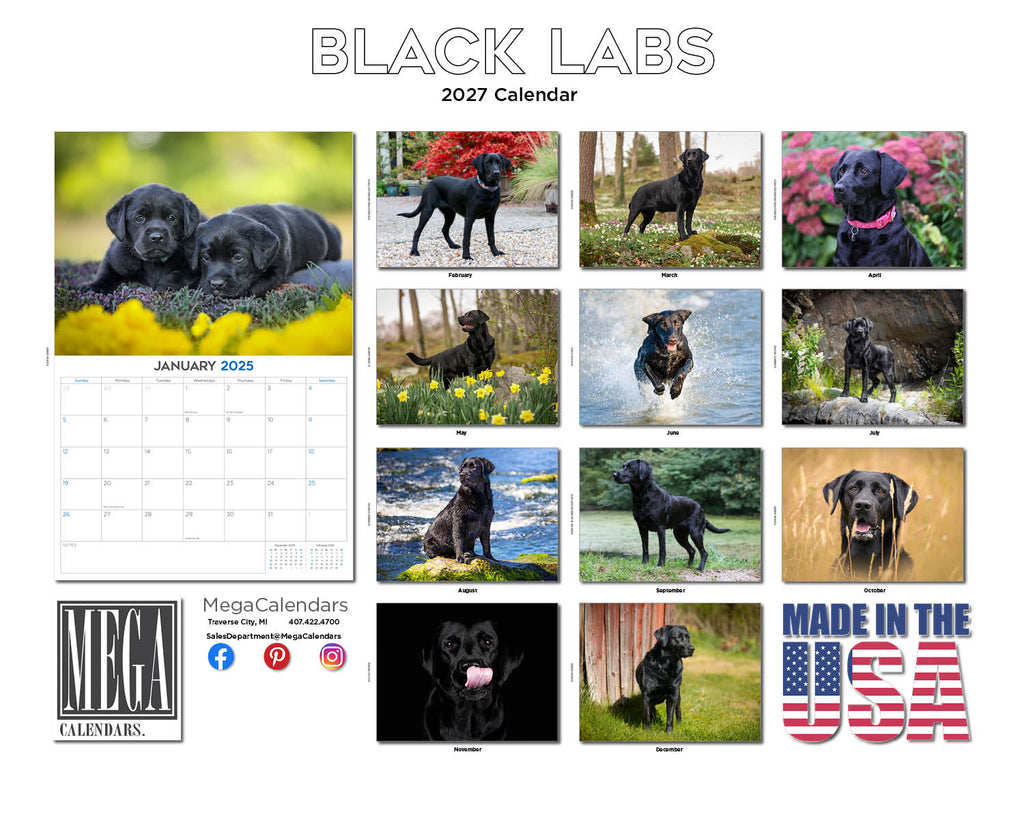 Black Labrador Wall Calendar 2027 - 12" x 9" 14-Month Dog Breed Calendar