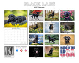 Black Labrador Wall Calendar 2027 - 12" x 9" 14-Month Dog Breed Calendar