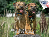 Border Terrier Wall Calendar 2027 - 12" x 9" 14-Month Dog Breed Calendar