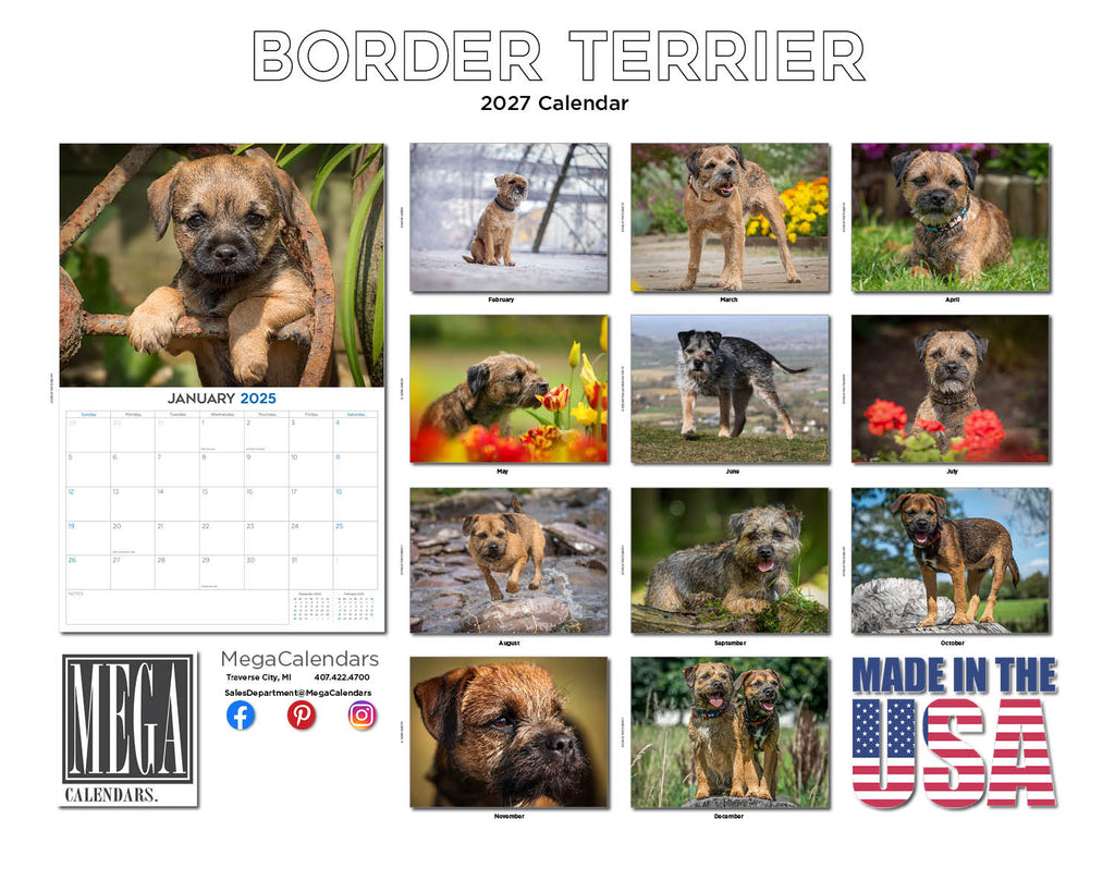Border Terrier Wall Calendar 2027 - 12" x 9" 14-Month Dog Breed Calendar