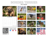 Border Terrier Wall Calendar 2027 - 12" x 9" 14-Month Dog Breed Calendar