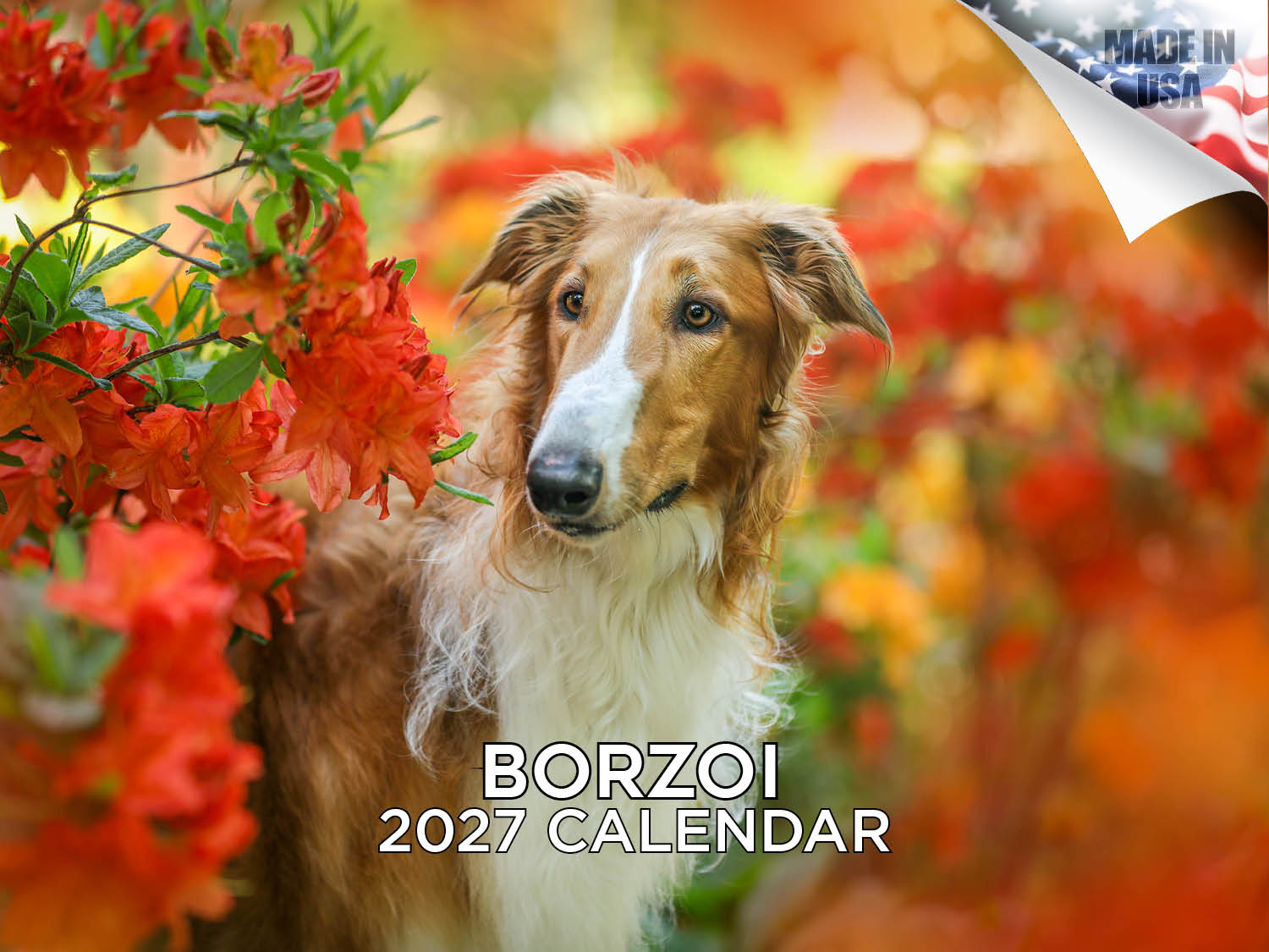 Borzoi Wall Calendar 2027 - 12