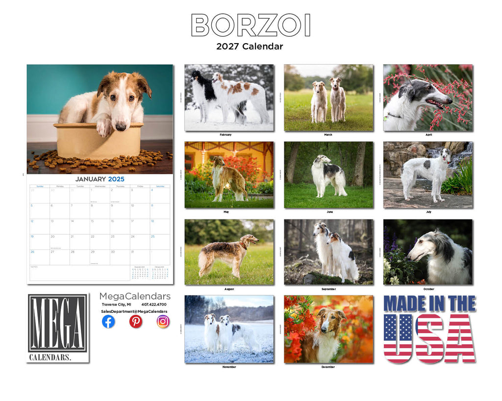 Borzoi Wall Calendar 2027 - 12" x 9" 14-Month Dog Breed Calendar