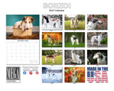 Borzoi Wall Calendar 2027 - 12" x 9" 14-Month Dog Breed Calendar