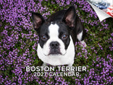 Boston Terrier Wall Calendar 2027 - 12" x 9" 14-Month Dog Breed Calendar