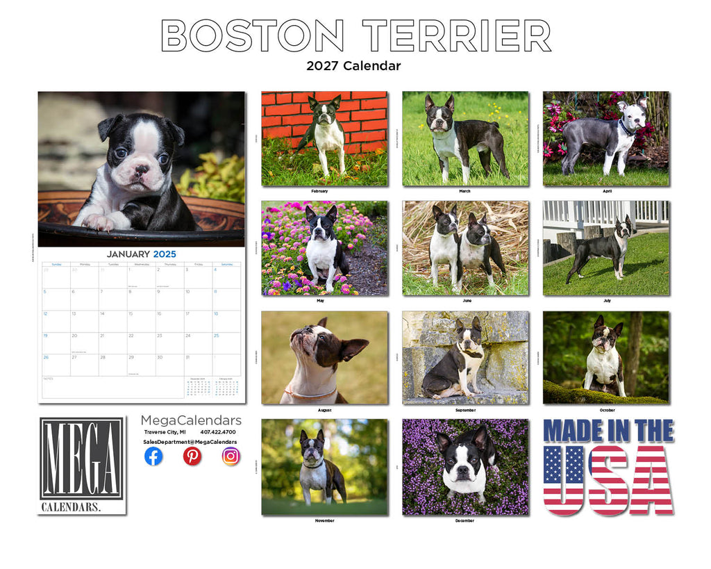 Boston Terrier Wall Calendar 2027 - 12" x 9" 14-Month Dog Breed Calendar