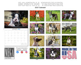 Boston Terrier Wall Calendar 2027 - 12" x 9" 14-Month Dog Breed Calendar