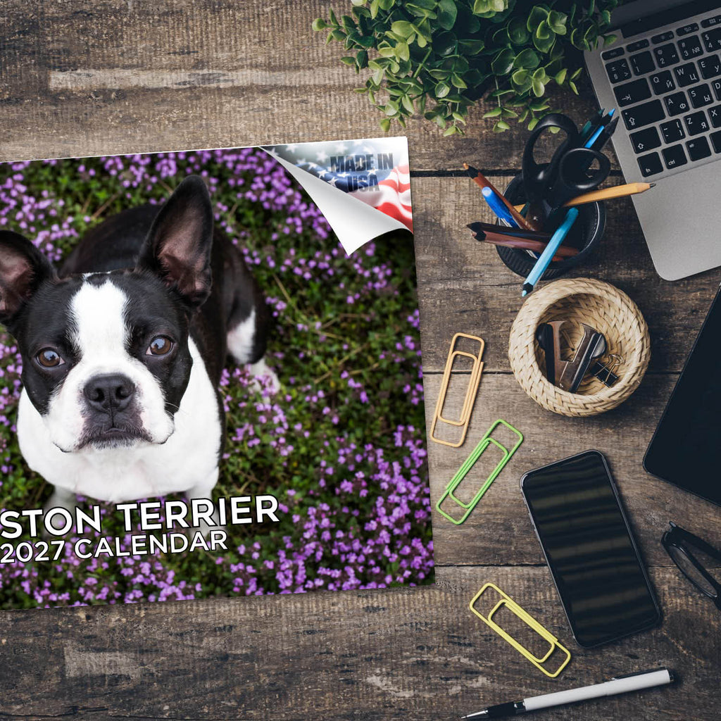Boston Terrier Wall Calendar 2027 - 12" x 9" 14-Month Dog Breed Calendar