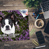 Boston Terrier Wall Calendar 2027 - 12" x 9" 14-Month Dog Breed Calendar