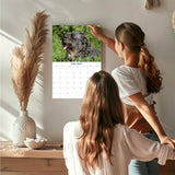 Bouvier Des Flandres Wall Calendar 2027 - 12" x 9" 14-Month Dog Breed Calendar