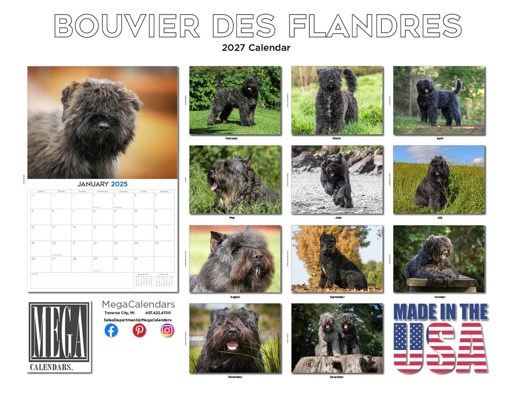 Bouvier Des Flandres Wall Calendar 2027 - 12" x 9" 14-Month Dog Breed Calendar