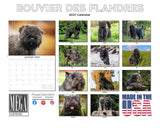 Bouvier Des Flandres Wall Calendar 2027 - 12" x 9" 14-Month Dog Breed Calendar