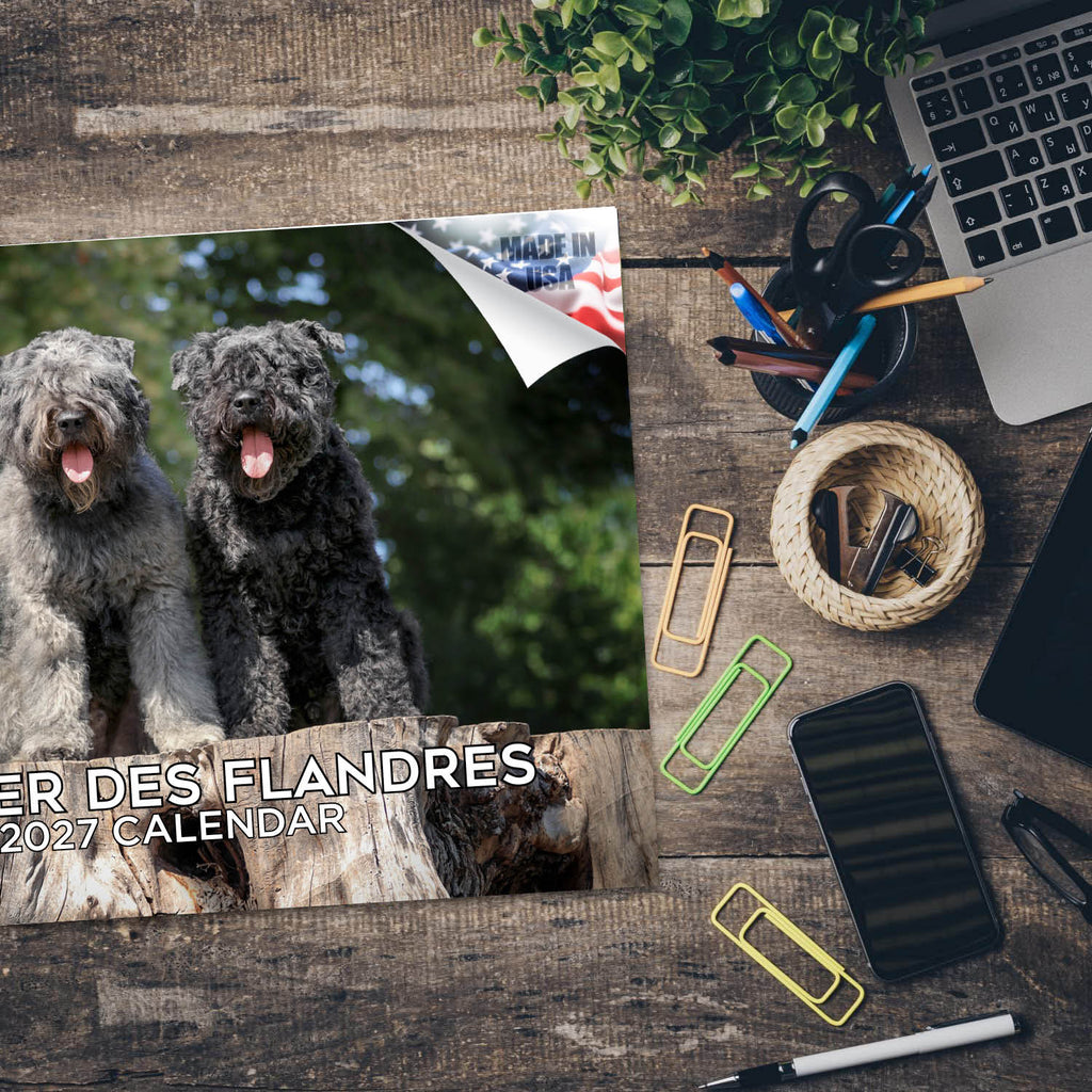 Bouvier Des Flandres Wall Calendar 2027 - 12" x 9" 14-Month Dog Breed Calendar