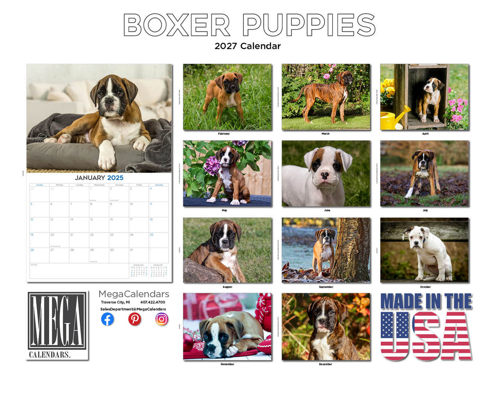 Boxer Puppies Wall Calendar 2027 - 12" x 9" 14-Month Dog Breed Calendar