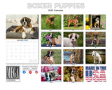 Boxer Puppies Wall Calendar 2027 - 12" x 9" 14-Month Dog Breed Calendar