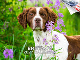 Brittany Wall Calendar 2027 - 12" x 9" 14-Month Dog Breed Calendar