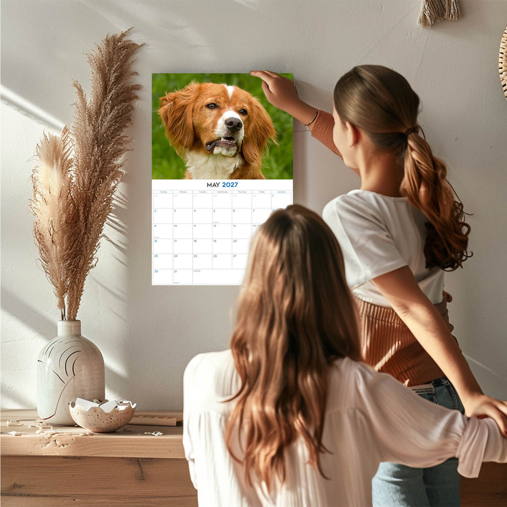 Brittany Wall Calendar 2027 - 12" x 9" 14-Month Dog Breed Calendar