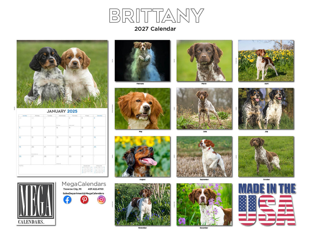Brittany Wall Calendar 2027 - 12" x 9" 14-Month Dog Breed Calendar
