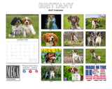 Brittany Wall Calendar 2027 - 12" x 9" 14-Month Dog Breed Calendar