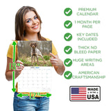 Brittany Wall Calendar 2027 - 12" x 9" 14-Month Dog Breed Calendar