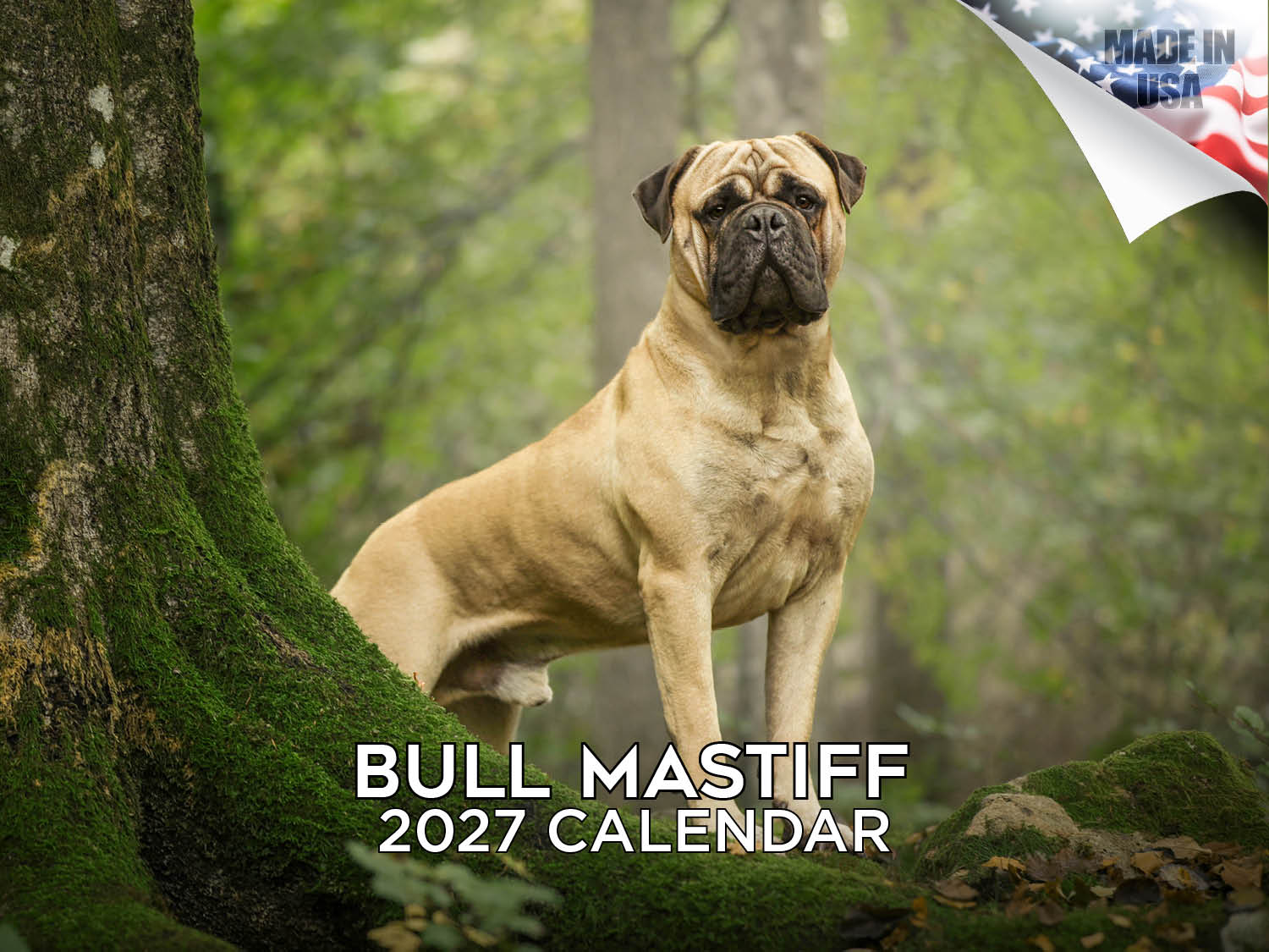 Bull Mastiff Wall Calendar 2027 - 12