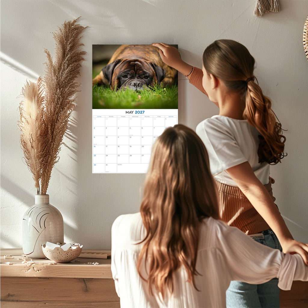 Bull Mastiff Wall Calendar 2027 - 12" x 9" 14-Month Dog Breed Calendar