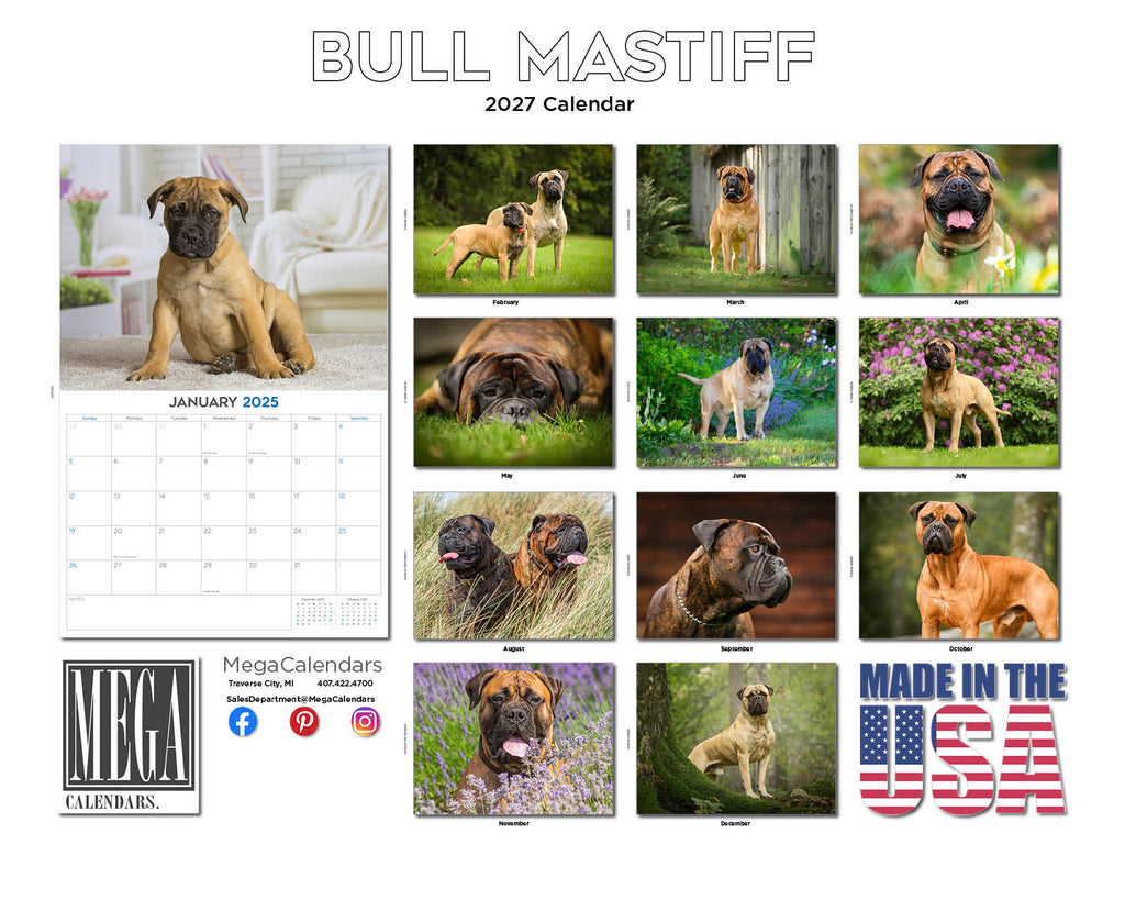 Bull Mastiff Wall Calendar 2027 - 12" x 9" 14-Month Dog Breed Calendar